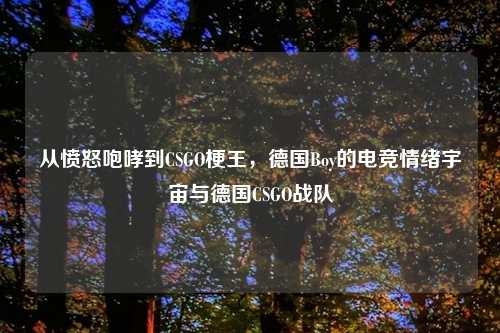 从愤怒咆哮到CSGO梗王，德国Boy的电竞情绪宇宙与德国CSGO战队