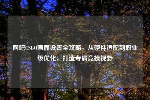 网吧CSGO画面设置全攻略，从硬件适配到职业级优化，打造专属竞技视野