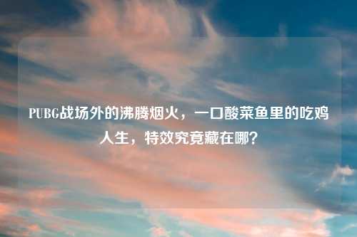 PUBG战场外的沸腾烟火，一口酸菜鱼里的吃鸡人生，特效究竟藏在哪？