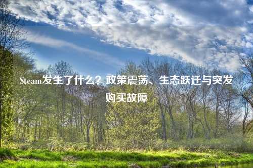 Steam发生了什么？政策震荡、生态跃迁与突发购买故障