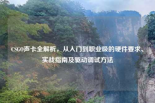 CSGO声卡全解析，从入门到职业级的硬件要求、实战指南及驱动调试     