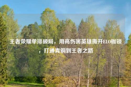 王者荣耀单排破局，用高伤害英雄撕开ELO枷锁，打通青铜到王者之路