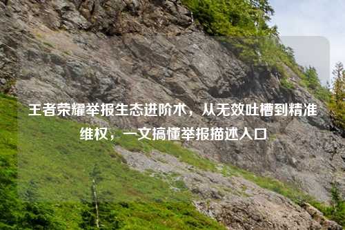 王者荣耀举报生态进阶术,从无效吐槽到精准 ,一文搞懂举报描述入口