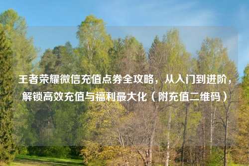 王者荣耀微信充值点券全攻略,从入门到进阶,解锁高效充值与福利更大化(附充值二维码)