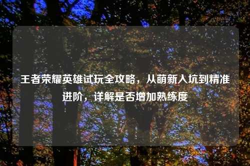 王者荣耀英雄试玩全攻略,从萌新入坑到精准进阶,详解是否增加熟练度