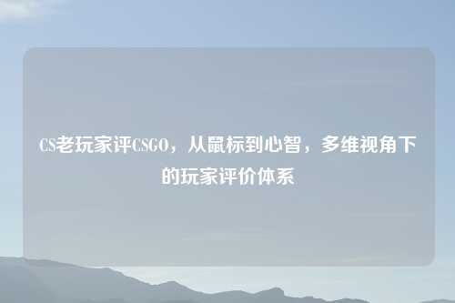 CS老玩家评CSGO，从鼠标到心智，多维视角下的玩家评价体系