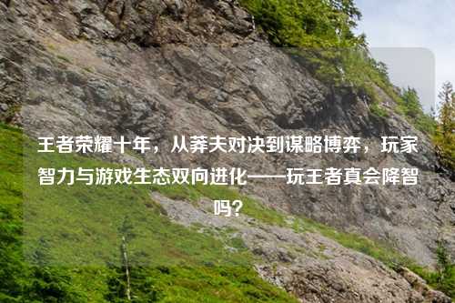 王者荣耀十年，从莽夫对决到谋略博弈，玩家智力与游戏生态双向进化——玩王者真会降智吗？