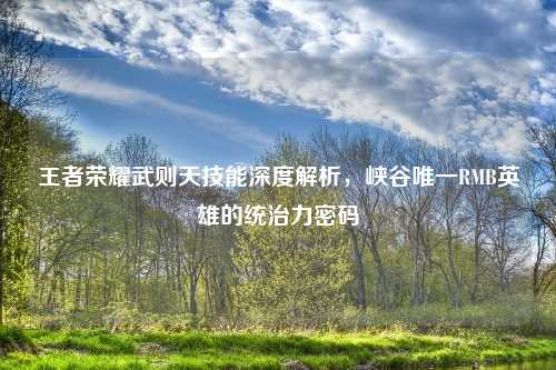 王者荣耀武则天技能深度解析，峡谷唯一RMB英雄的统治力密码
