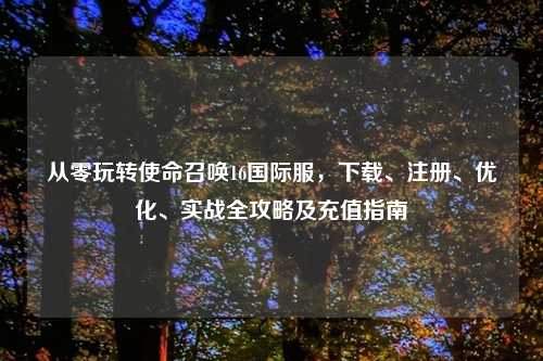 从零玩转使命召唤16国际服，下载、注册、优化、实战全攻略及充值指南