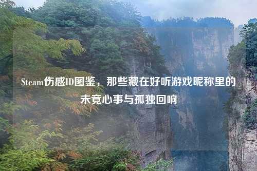 Steam伤感ID图鉴，那些藏在好听游戏昵称里的未竟心事与孤独回响