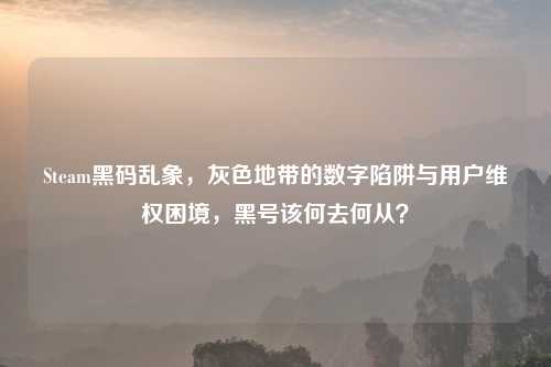 Steam黑码乱象，灰色地带的数字陷阱与用户     困境，黑号该何去何从？