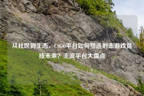 从社区到生态，CSGO平台如何塑造射击游戏竞技未来？主流平台大盘点