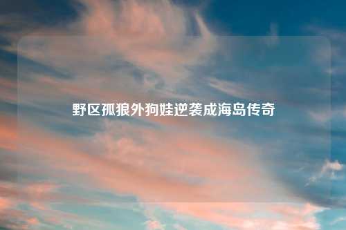 野区孤狼外狗娃逆袭成海岛传奇