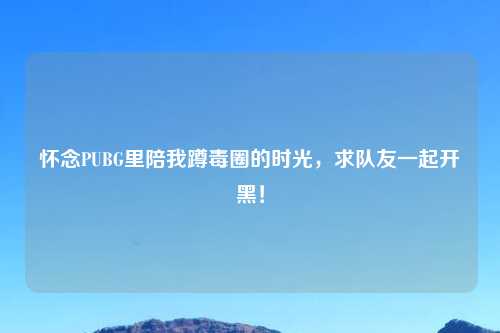 怀念PUBG里陪我蹲毒圈的时光，求队友一起开黑！