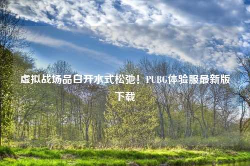 虚拟战场品白开水式松弛！PUBG体验服最新版下载
