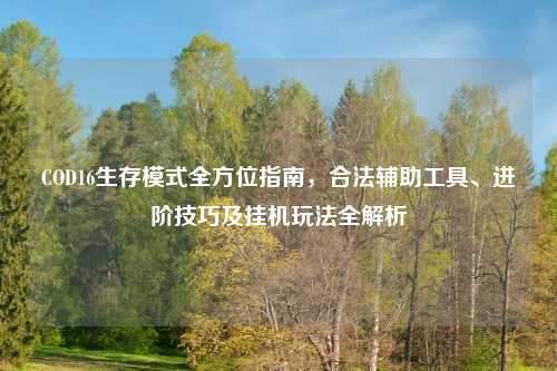 COD16生存模式全方位指南，合法辅助工具、进阶技巧及挂机玩法全解析