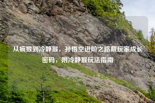 从疯猴到冷静猴，孙悟空进阶之路藏玩家成长密码，附冷静猴玩法指南