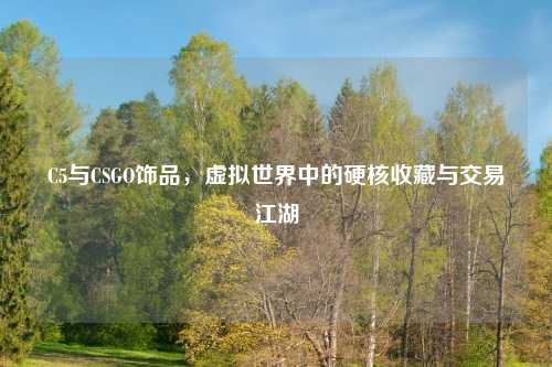 C5与CSGO饰品，虚拟世界中的硬核收藏与交易江湖