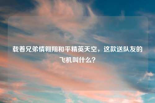 载着兄弟情翱翔和平精英天空，这款送队友的飞机叫什么？