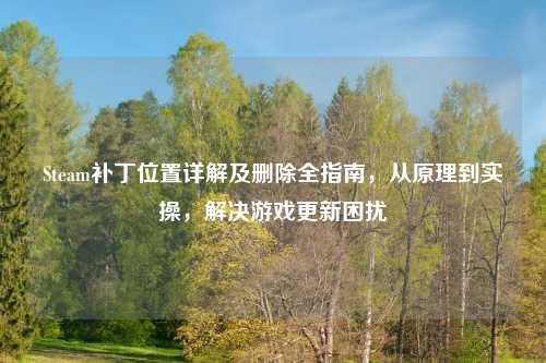 Steam补丁位置详解及删除全指南，从原理到实操，解决游戏更新困扰