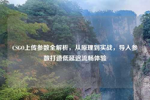 CSGO上传参数全解析，从原理到实战，导入参数打造低延迟流畅体验