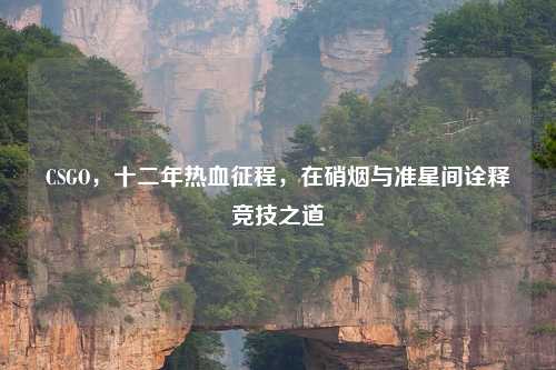 CSGO，十二年热血征程，在硝烟与准星间诠释竞技之道
