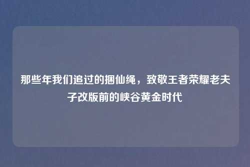 那些年我们追过的捆仙绳，致敬王者荣耀老夫子改版前的峡谷黄金时代