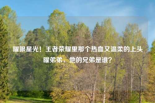 曜眼星光！王者荣耀里那个热血又温柔的上头曜弟弟，他的兄弟是谁？