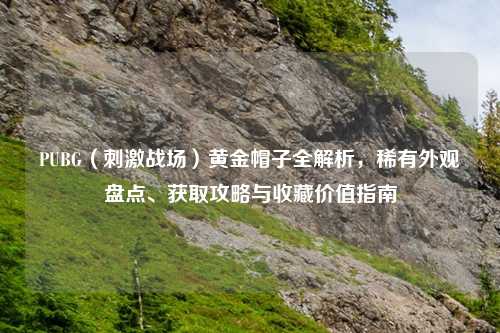 PUBG（     战场）黄金帽子全解析，稀有外观盘点、获取攻略与收藏价值指南