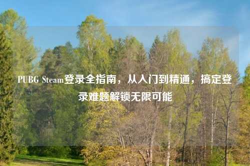 PUBG Steam登录全指南，从入门到精通，搞定登录难题解锁无限可能