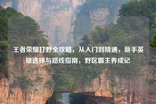 王者荣耀打野全攻略，从入门到精通，新手英雄选择与路线指南，野区霸主养成记