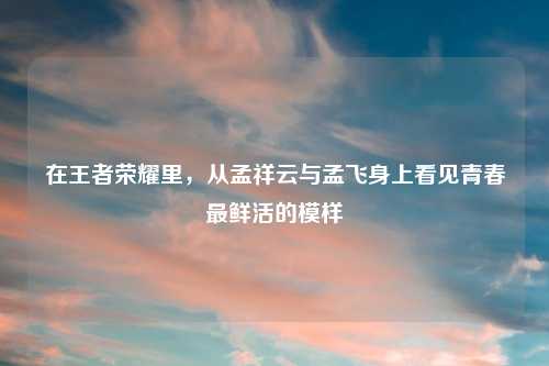 在王者荣耀里，从孟祥云与孟飞身上看见青春最鲜活的模样