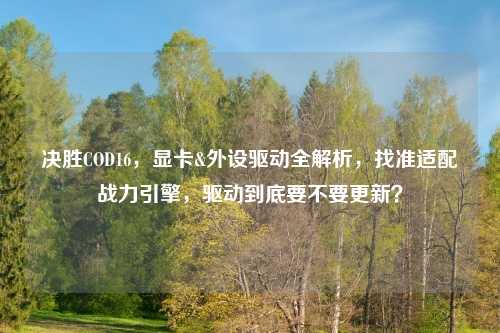 决胜COD16，显卡&外设驱动全解析，找准适配战力引擎，驱动到底要不要更新？