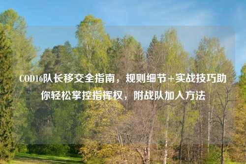COD16队长移交全指南，规则细节+实战技巧助你轻松掌控指挥权，附战队加入     