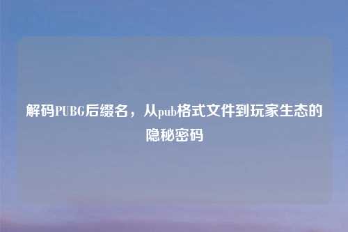 解码PUBG后缀名，从pub格式文件到玩家生态的隐秘密码