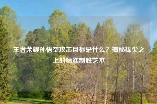 王者荣耀孙悟空攻击目标是什么？揭秘棒尖之上的精准制胜艺术