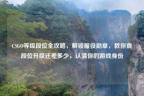 CSGO等级段位全攻略，解锁服役勋章，教你查段位升级还差多少，认清你的游戏身份