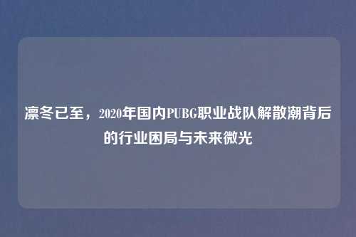 凛冬已至，2020年国内PUBG职业战队解散潮背后的行业困局与未来微光