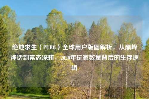 绝地求生（PUBG）全球用户版图解析，从巅峰神话到常态深耕，2020年玩家数量背后的生存逻辑