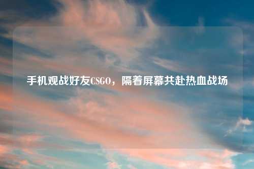 手机观战好友CSGO，隔着屏幕共赴热血战场