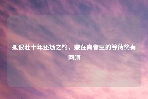 孤狼赴十年还场之约，藏在青春里的等待终有回响