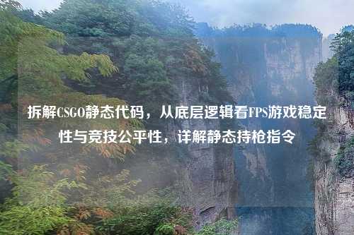 拆解CSGO静态代码，从底层逻辑看FPS游戏稳定性与竞技公平性，详解静态持枪指令