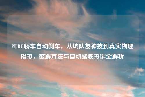 PUBG轿车自动刹车，从坑队友神技到真实物理模拟，破解     与自动驾驶按键全解析