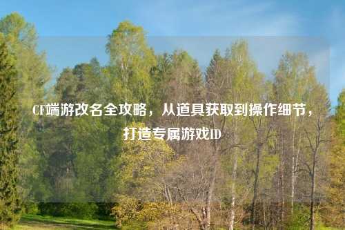 CF端游改名全攻略，从道具获取到操作细节，打造专属游戏ID