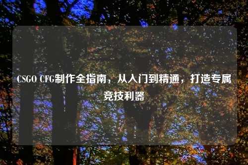 CSGO CFG     全指南，从入门到精通，打造专属竞技利器
