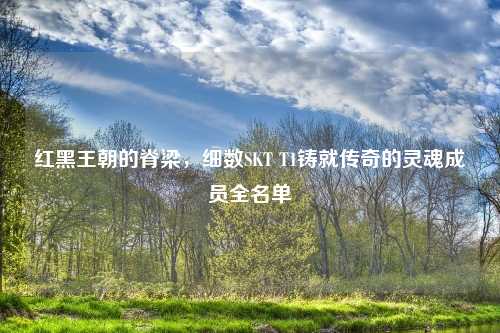 红黑王朝的脊梁，细数SKT T1铸就传奇的灵魂成员全名单