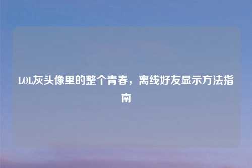 LOL灰头像里的整个青春，离线好友显示     指南