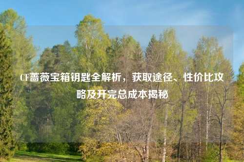 CF蔷薇宝箱钥匙全解析，获取途径、性价比攻略及开完总成本揭秘