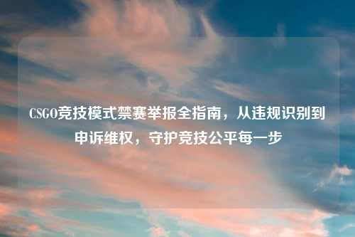 CSGO竞技模式禁赛举报全指南，从违规识别到申诉     ，守护竞技公平每一步
