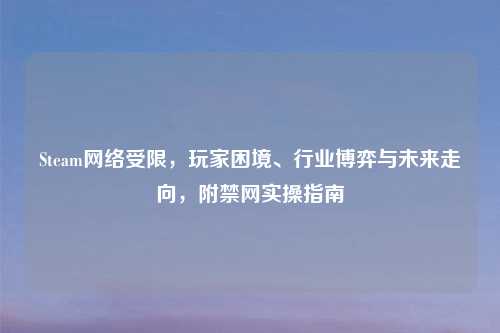 Steam     受限，玩家困境、行业博弈与未来走向，附禁网实操指南